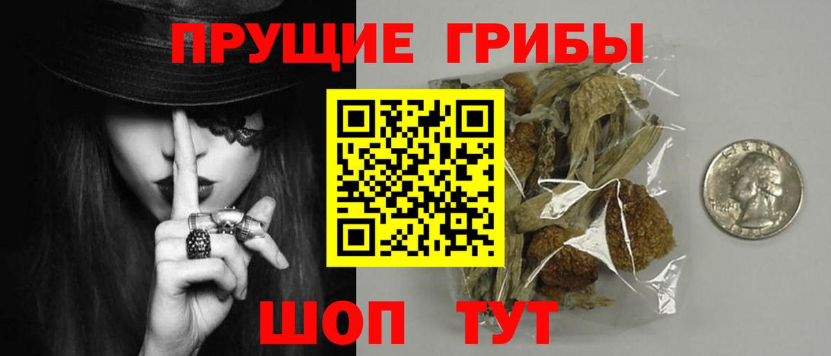 Галлюциногенные грибы мицелий  Вход с VPN  Подольск 